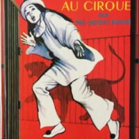 Vol au cirque