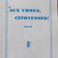 Aux urnes.jpg