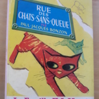 Rue des chats.jpg