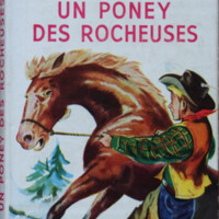 Un poney.jpg