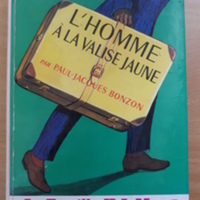 Valise jaune.jpg