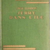 Jerry dans l'ile.jpg