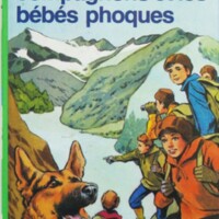 Bébées phoques.jpg