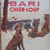 Bari chen loup.jpg