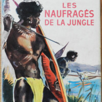 Naufragés de la junge.jpg