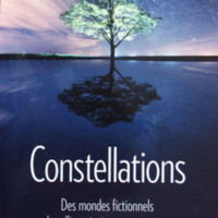 Constellations par Besson.jpg